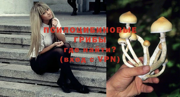 тгк Володарск