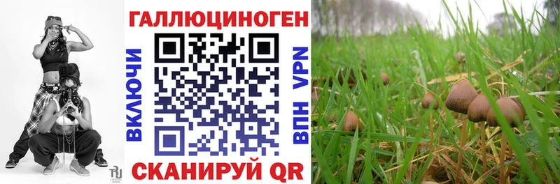 Псилоцибиновые грибы Magic Shrooms Купить где Безенчук